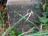image of grave number 427903